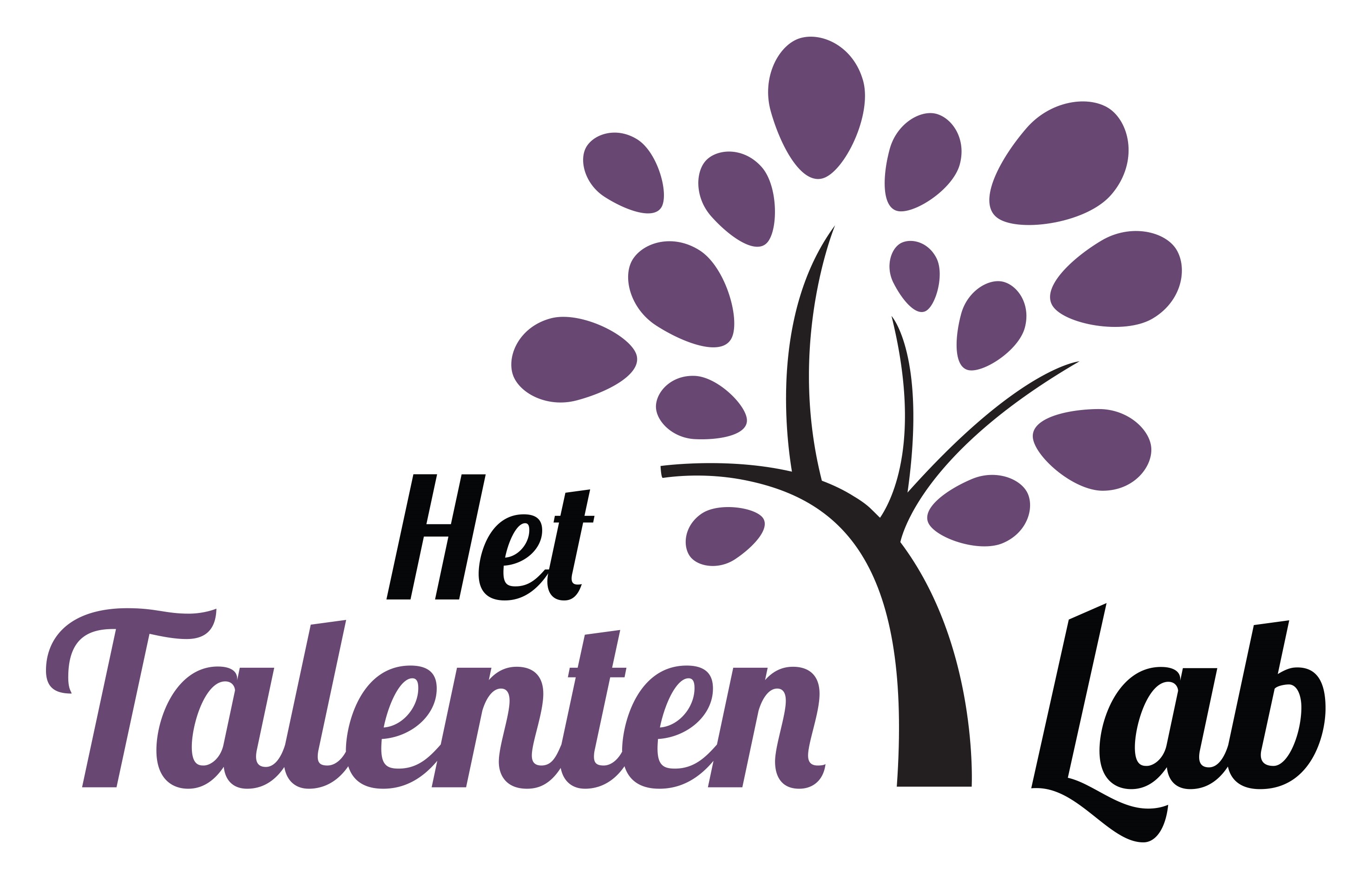 (c) Hettalentenlab.nl